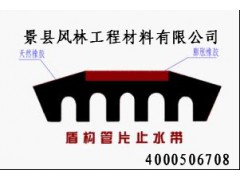 供应盾构管片弹性橡胶密封垫图1