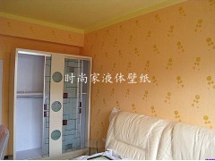 小本投资高利润回报，涂料商低风险创业首选时尚家墙艺漆图2