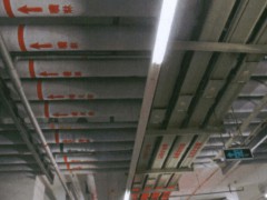 管道多层布置，公用支架，层次清晰、有序