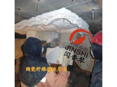 锻造加热炉专用含锆陶瓷纤维模块图1