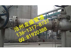 DN65MM 304金属软管生产厂家 13613178737图2
