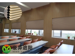 上海电动天棚帘订制_电动遮阳帘定制_上海电动遮阳帘_豪异供图1