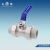 预测最新批发的ppr水管十大品牌