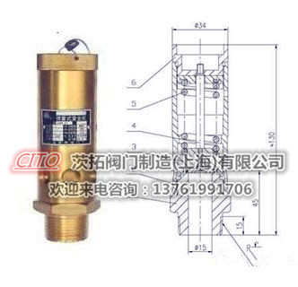 螺杆空压机泄压专用A28X-16T弹簧式安全阀图1