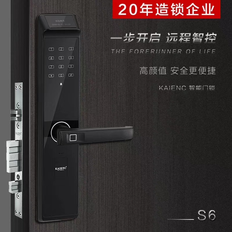 指纹锁_智能锁_智能门锁厂家加盟_指纹锁十大品牌凯恩斯_图3